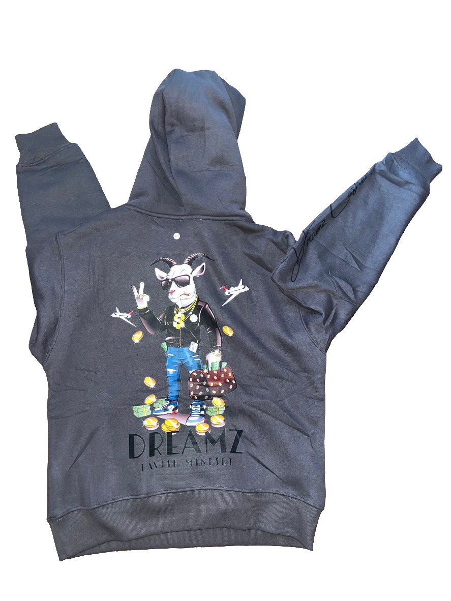 Money Bag male hoodies