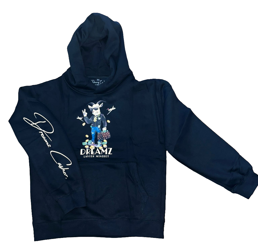 Money Bag male hoodies